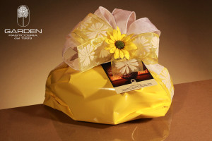 1colomba_gialla