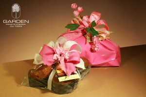 6colombe_rosa