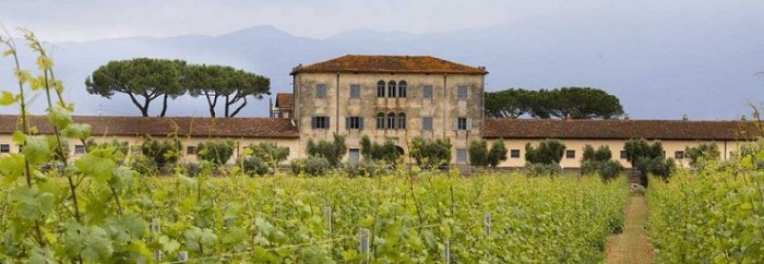 Casale-del-Giglio-700x242