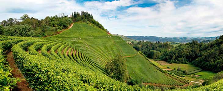 Degustazione Piemontese