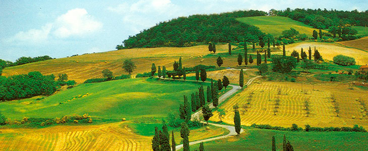 Degustazione Toscana Degustazione Toscana