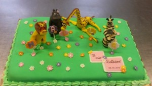 torta-compleanno035