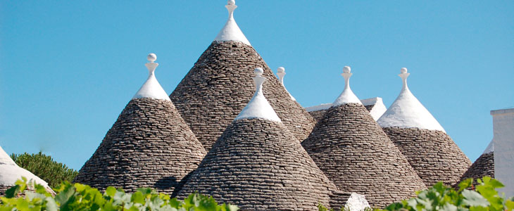 vino puglia degustazione misano vino puglia